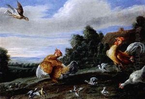 Federvieh Und Der Bussard