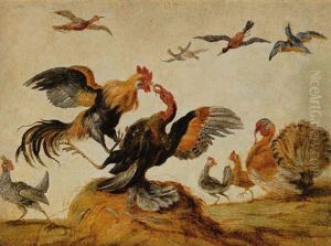 Combat De Coqs Et De Dindons by Jan van, the Younger Kessel