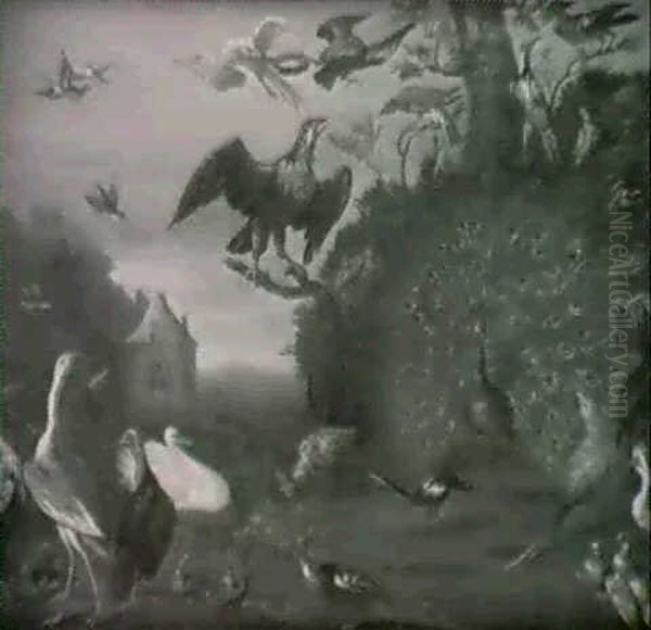 Le Concert Des Oiseaux - view 1