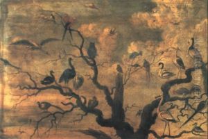 Birds Mobbing Owls