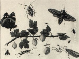A Red Admiral, A Moth, A Beetle, A Mantis And Other Insects by Jan van, the Younger Kessel