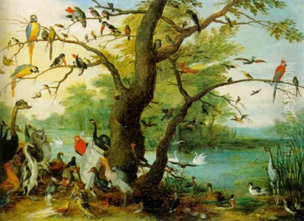 A Concert Of Birds - view 1