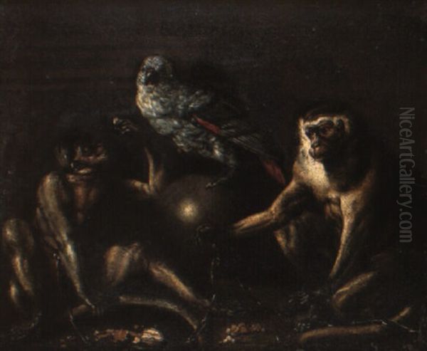 Deux Singes Attaches Et Un Perroquet - view 1