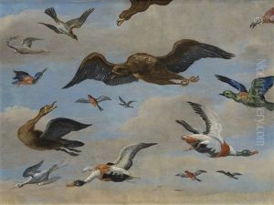 Etude D"oiseaux Sur Fond De Ciel by Jan van Kessel