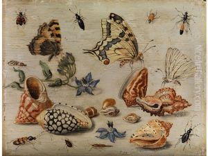 Muscheln, Schmetterlinge, Blumen Und Insekten Auf Weissem Grund Muscheln, Schmetterlinge, Blumen Und Insekten Auf Weissem Grund