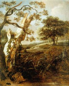 A Beech Stump In A Hilly Wooded Landscape