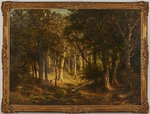 Forest Clearing