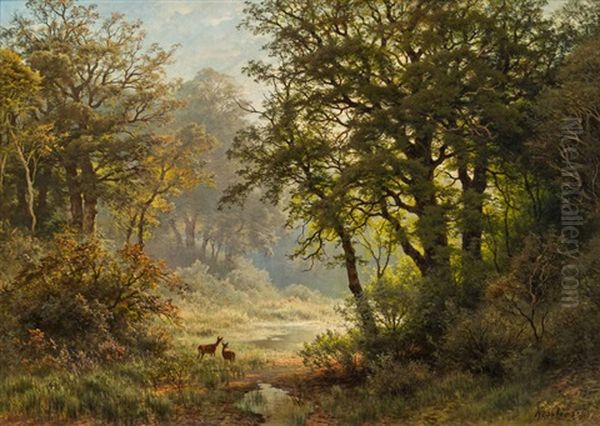 Waldlichtung Mit Rehen - view 1