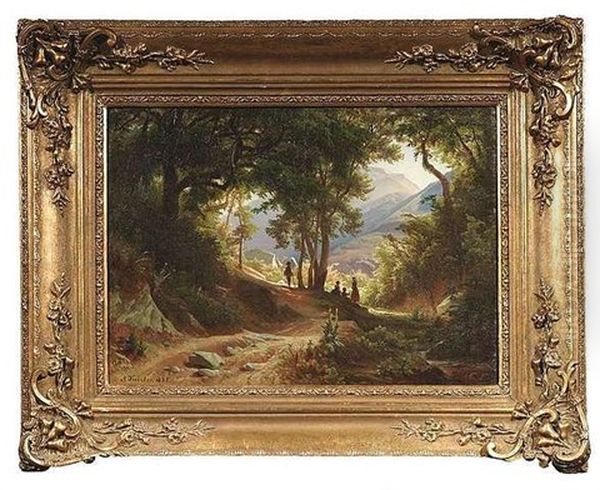 Ausblick Aus Einem Schattigen Wald Auf Eine Sonnenbescheinene Berglandschaft - view 1