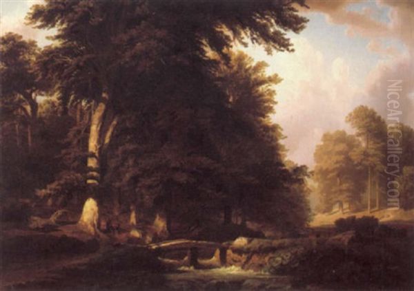 Wooded Landscape - view 1