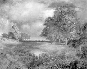 Approaching Storm