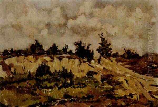 Zandafgraving Ede - view 1