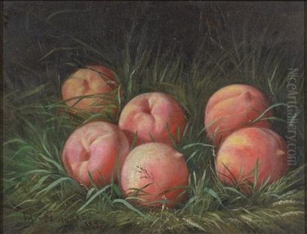 Still Life With Peaches - view 1