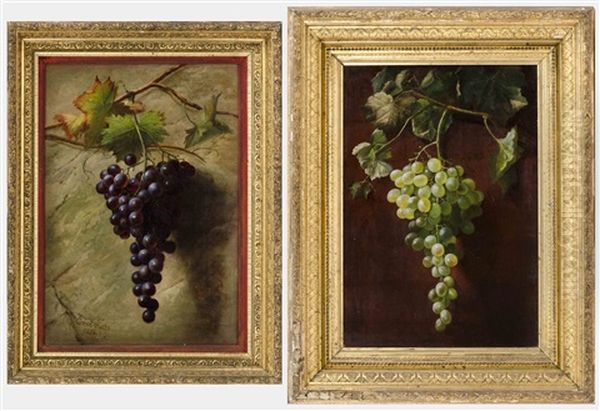 Two Still Lifes Of Hanging Grapes - view 1