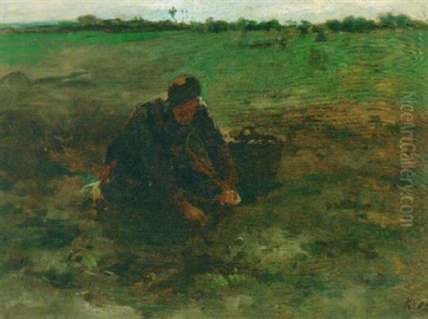 The Potato-lifter - view 1
