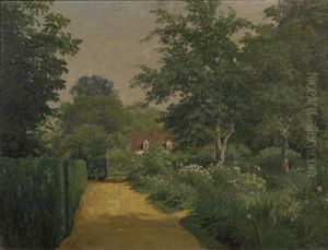 Sunlight On A Garden Path