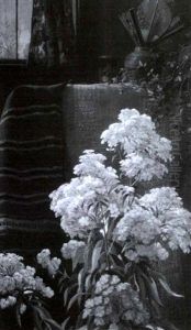 Interior Scene With Still Life Of Pink And White Hydrangeas