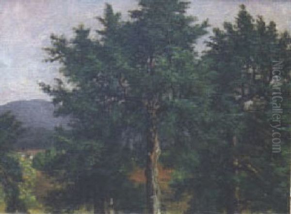 Trees In The Berkshires - view 1