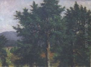 Trees In The Berkshires