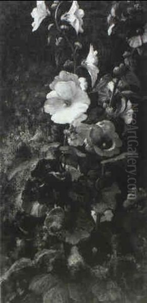 Hollyhocks - view 1