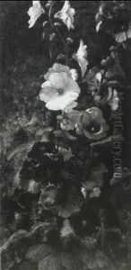 Hollyhocks