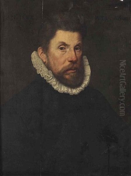 Portrait Of A Gentleman, Half-length, In A Black Suit With A White Ruff - view 1