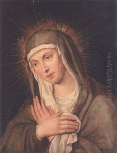 The Madonna The Madonna