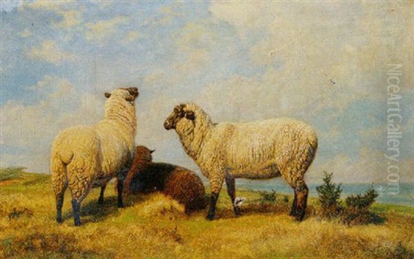 Sheep In A Landscape - view 1