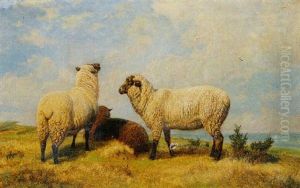 Sheep In A Landscape Sheep In A Landscape