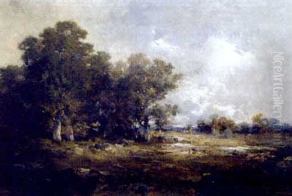 Paysage - view 1