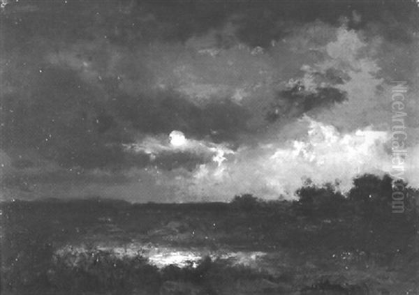 Moorlandschaft Bei Vollmond - view 1