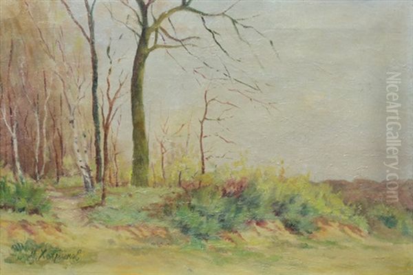Landscape - view 1