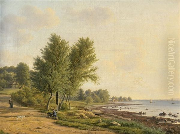 Landschaft Bei Klampenborg Nordlich Von Kopenhagen Am Oeresund - view 1
