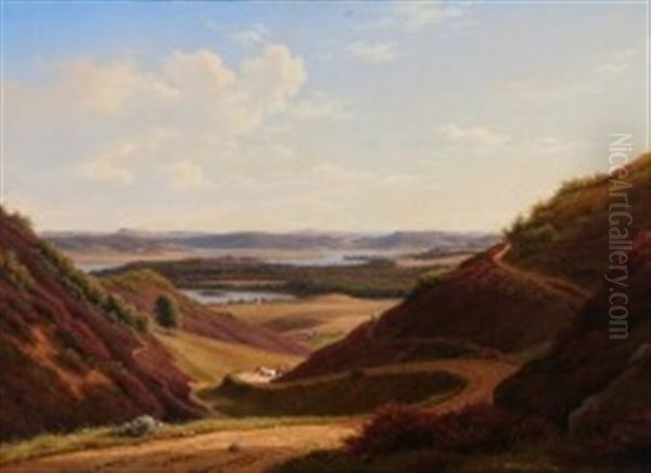 Hills With Heather Near Silkeborg - view 1