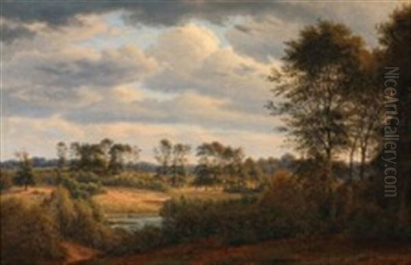 View Over The Moor In Jaegerborg, Denmark - view 1