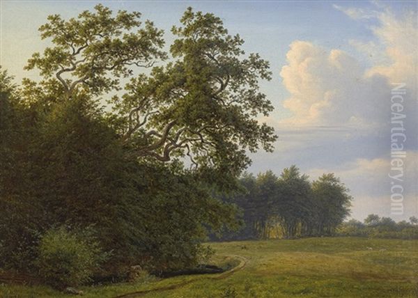 Sommerlandschaft In Danemark - view 1