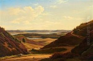 Rolling Hills Near Silkeborg Lakes