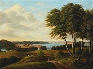 Danish Summerlandscape
