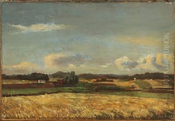 Late Summer Landscape With Fields - view 1