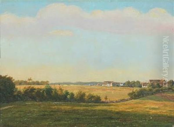 A Danish Summer Landscape - view 1
