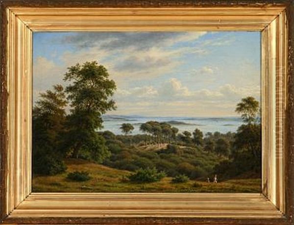 Udsigten Over Horsens Fjord Fra Hoiderne Ved Steensballegaard - view 1
