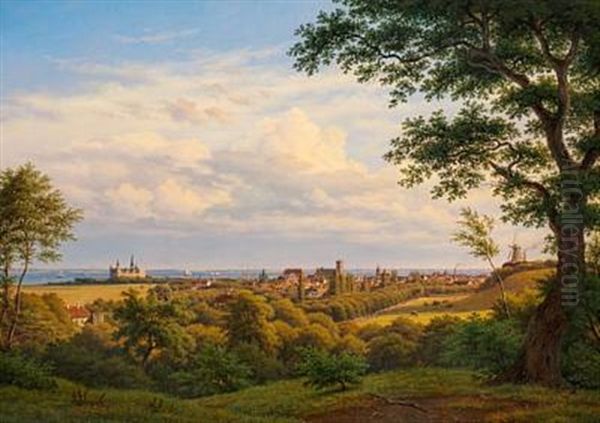 View Of Helsingor (elsinore) And The Sound - view 1