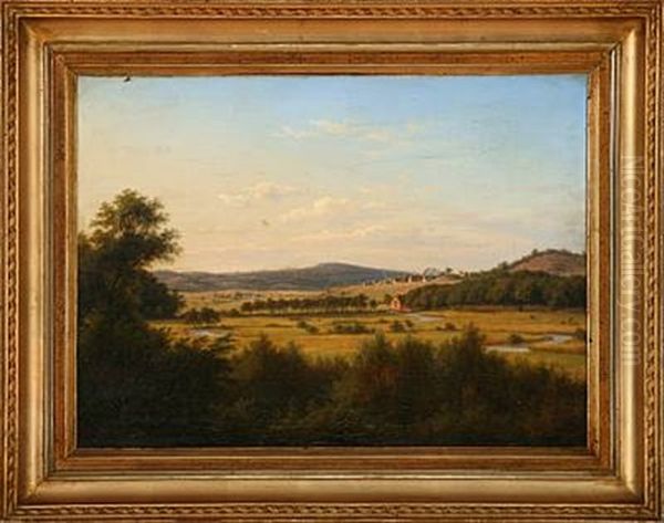 Danish Summer Landscape - view 1