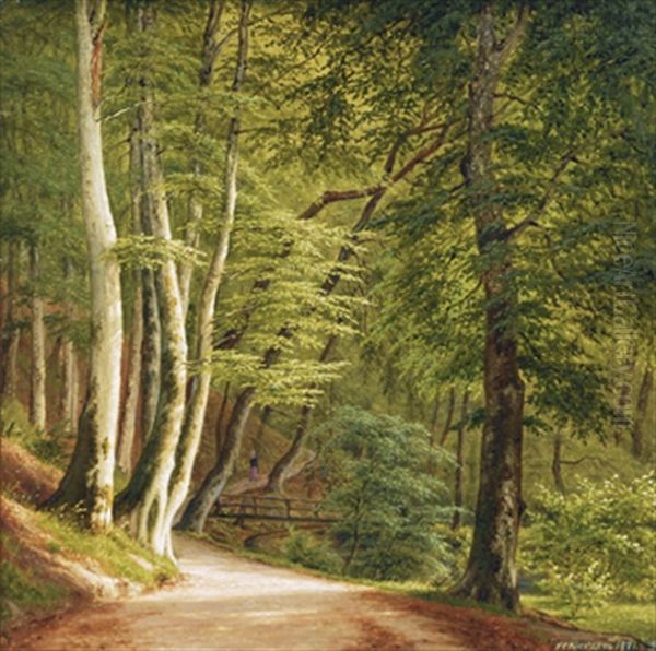 A Walk In The Woods - view 1