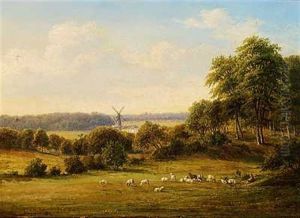 Voer Molle Ved Bidstrup I Jylland