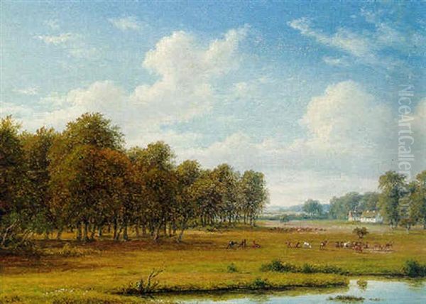 Deer In A Parkland - view 1
