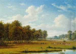 Deer In A Parkland