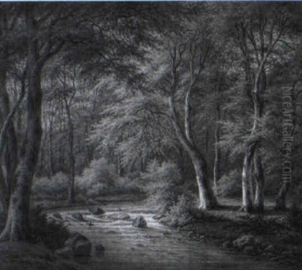 Fl_schen In Waldlandschaft - view 1