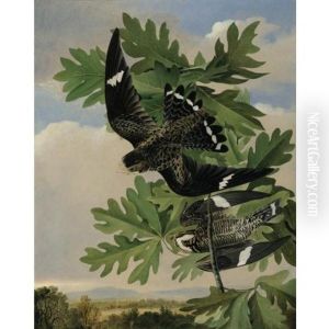 Common Night Hawk And The White Oak by Joseph Bartholemew Kidd