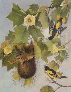 The Baltimore Oriole by Joseph Bartholemew Kidd
